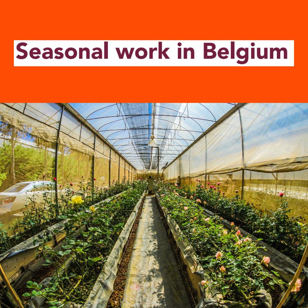 Seasonal work in Belgium